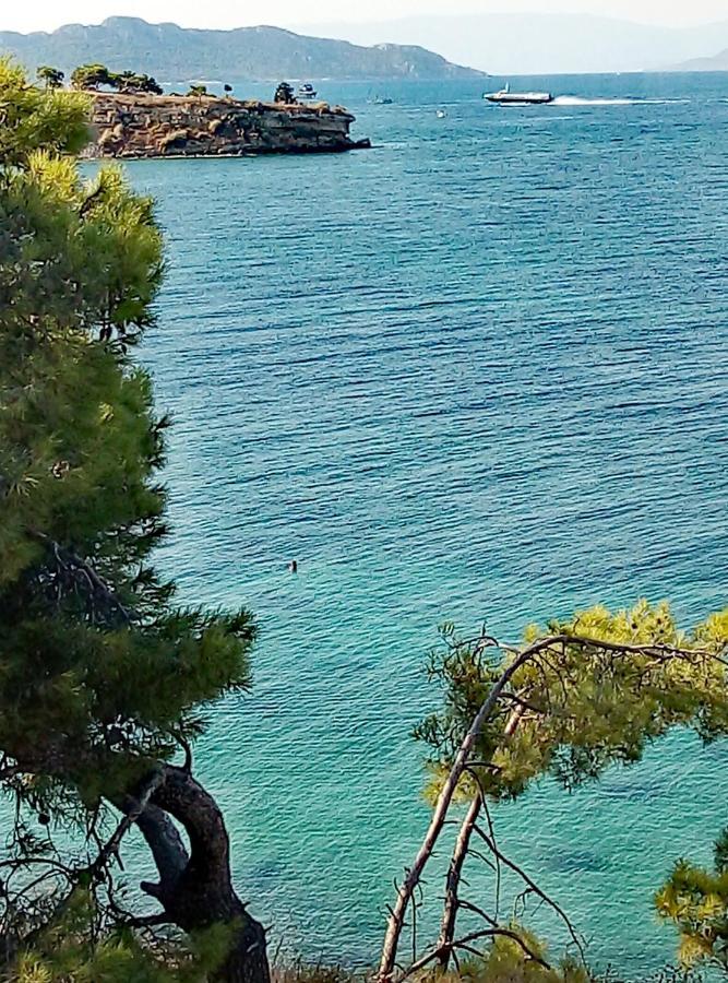 Lefteris Ageliki Beautiful Aegina Villa Eksteriør billede